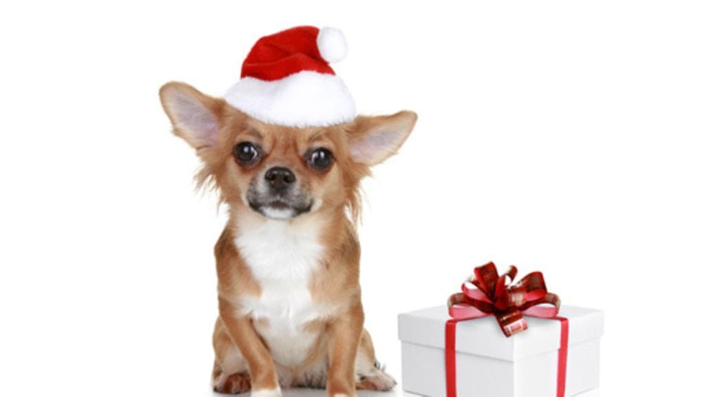 Kekseliäs säästää lahjahankinnoissa.