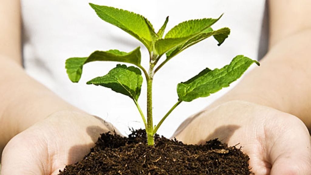 Miten ympäristöystävällinen olet?