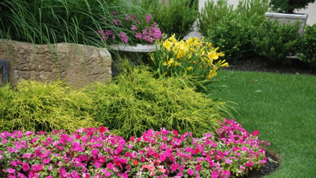 Kesäkukkien istutus ei ole vielä liian myöhäistä. Kuva: Shutterstock