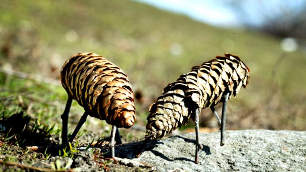 Markku Ulander/Lehtikuva