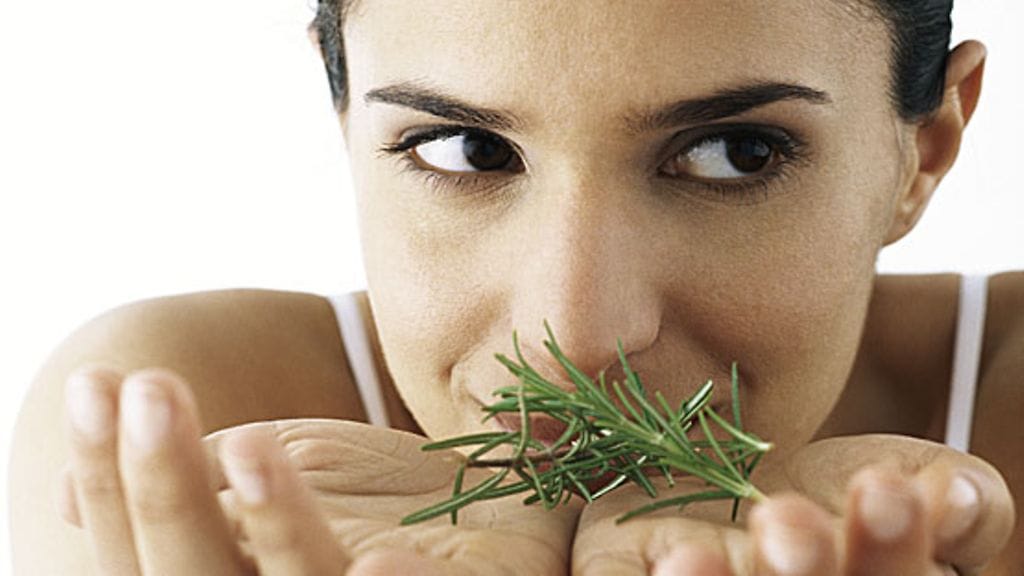 Rosmariinin tuoksui tehostaa aivotoimintaa