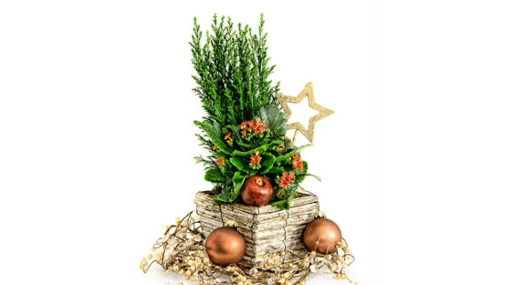 Kauniit laatikot kannattaa säästää.