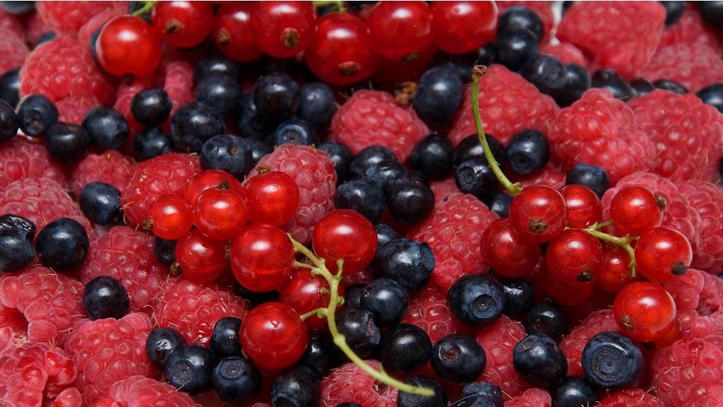 Marjojen ja herkukoiden ystävän kannattaa kerätä sato nopeasti talteen.