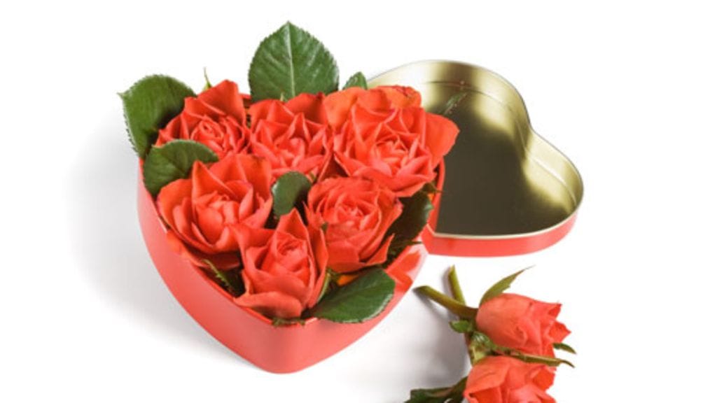 Ruusuista pitävät kaikki – vai pitävätkö?