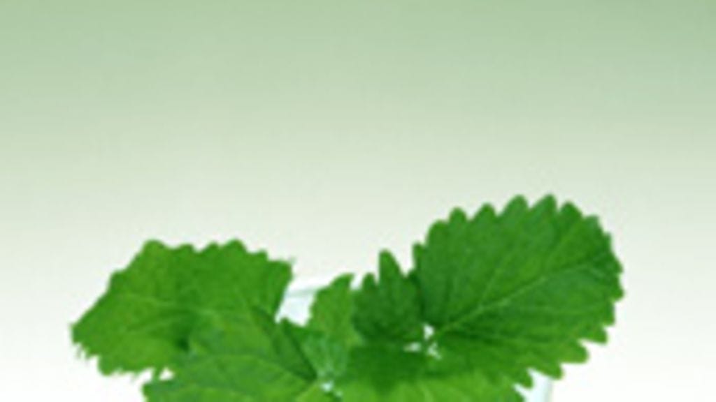 Kotimaiset Kasvikset ry /Sanna Peurakoski