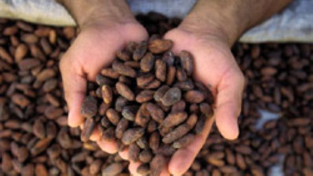 Reilun kaupan kaakaopapuja.