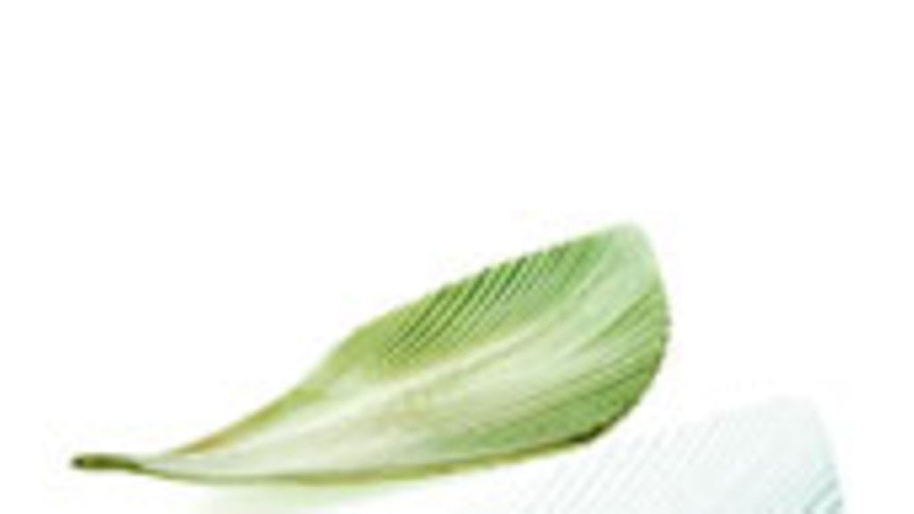 Kuvaaja: Mikko Knuutila