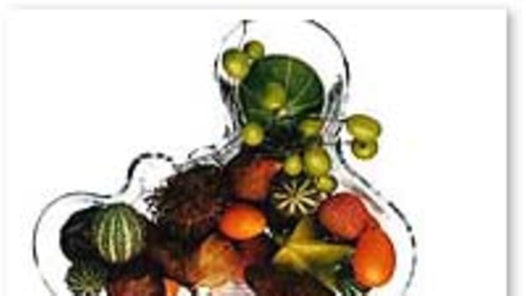 Kattauksen katseenvangitsija