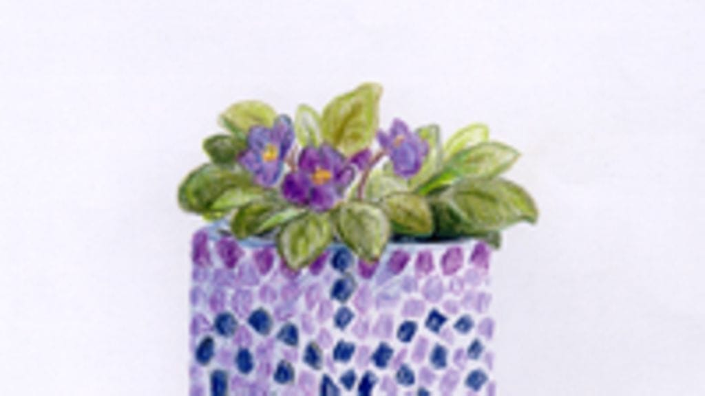 Silmäniloa kukkaruukuista