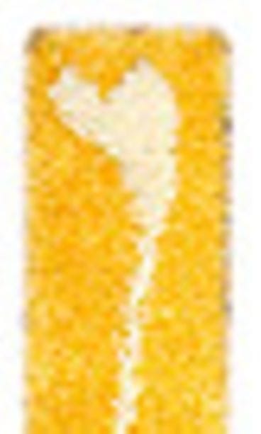 Kapea ryijy