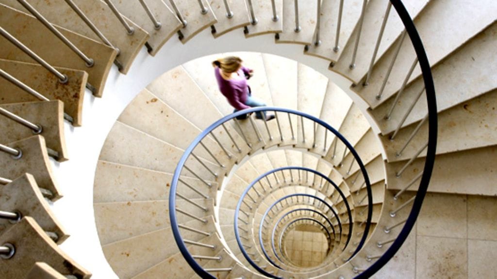 Aivot nauttivat kaikenlaisesta tekemisestä.