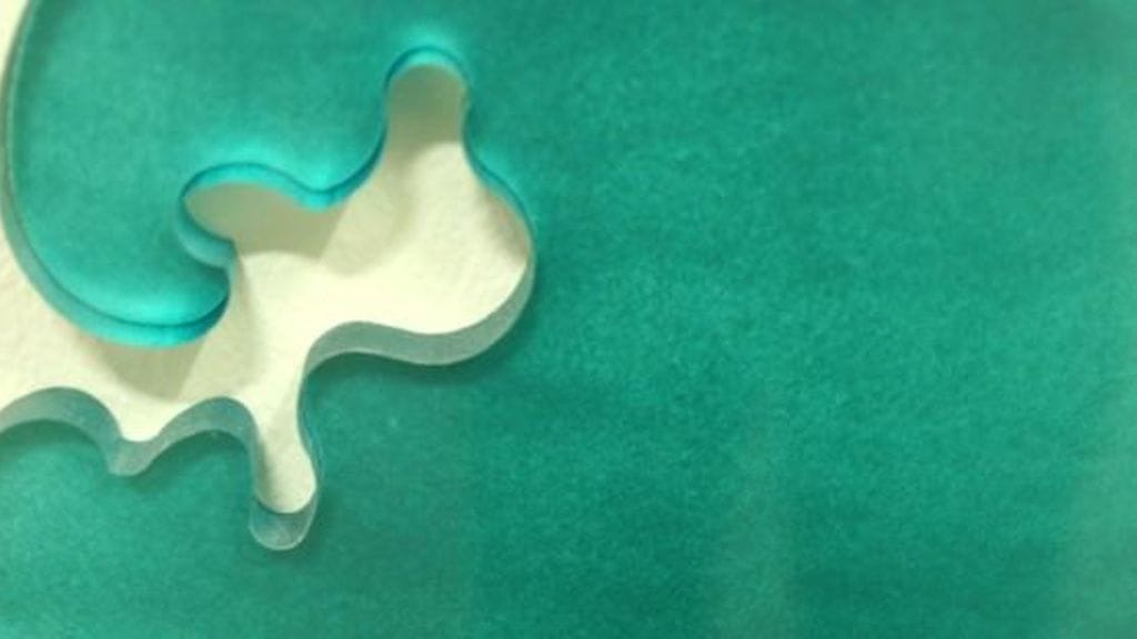 Tällaisia läpikuultavia yksityiskohtia löytyy vuoden 2012 BB-talosta.