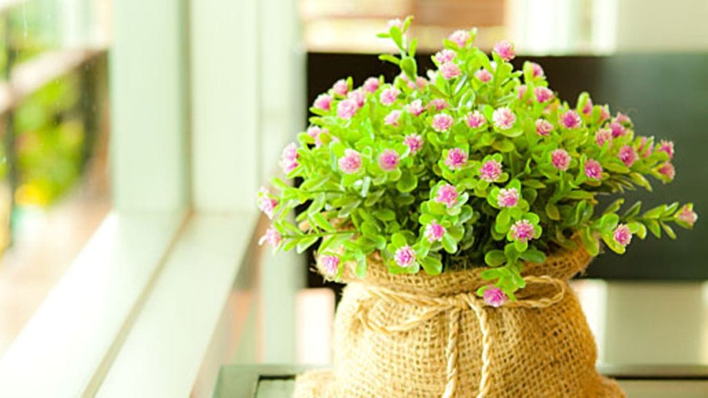 Kimppu suosikkikukkia piristää mieltä kummasti.