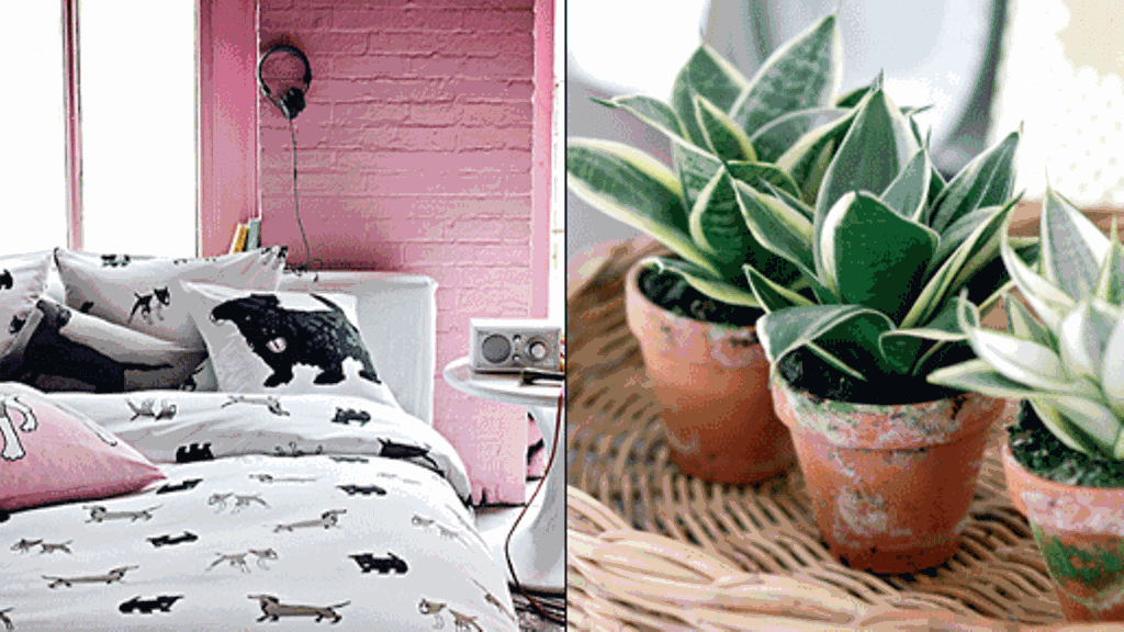 Makuuhuonetta viherkasvi piristää, mutta muista valita myrkytön vaihtoehto. Kuvat: H&M Home, Huiskula