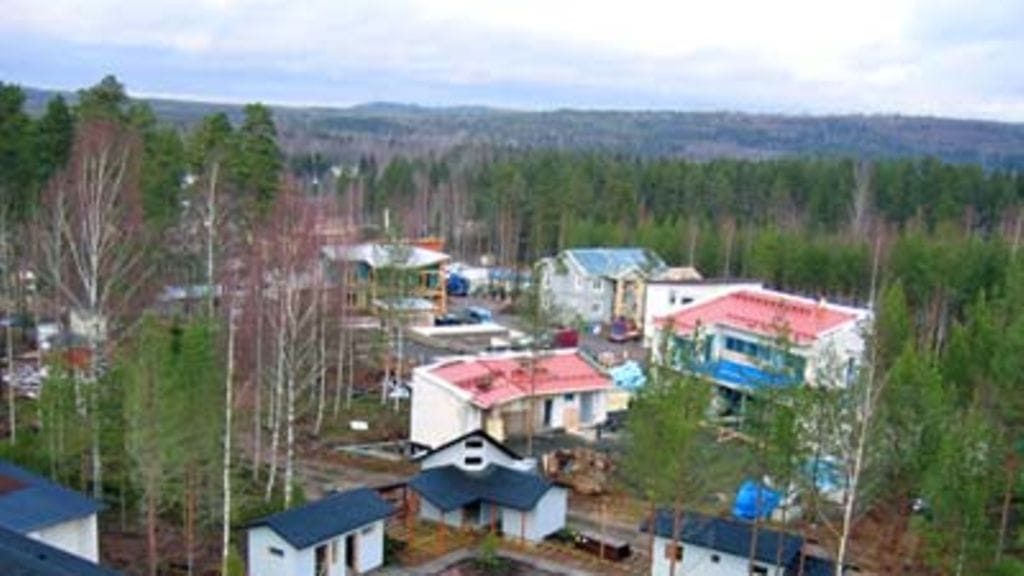 Kaskikaarre