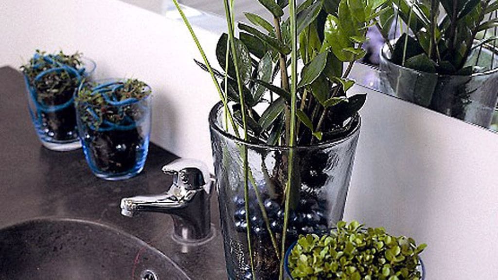 Viherkasvit kylpyhuoneessa / Kuva: Huiskula