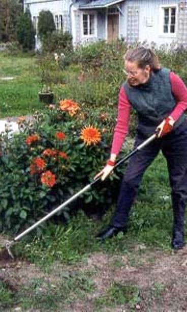 Jokanaisen puutarhakirja (WSOY)