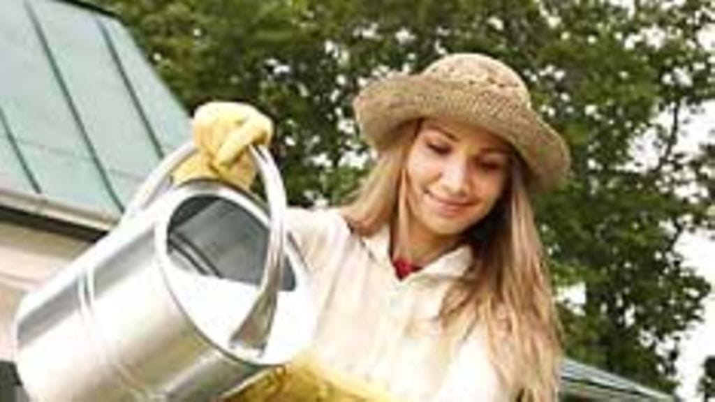 Messuilta vinkkejä pihan hoitoon.