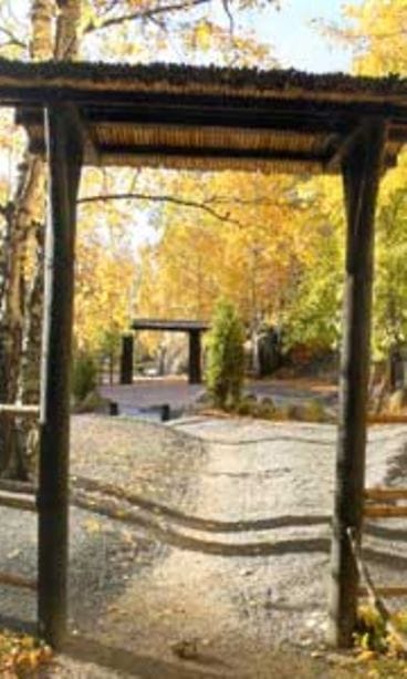 Japanilainen puutarha suomalaisittain