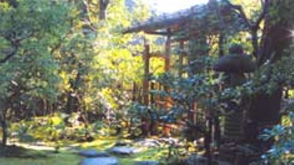 Japanilainen puutarha suomalaisittain (Tammi)