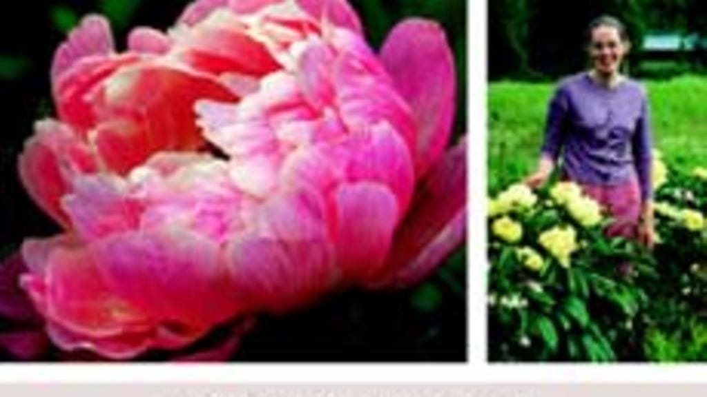 Jokanaisen puutarhakirja (WSOY)