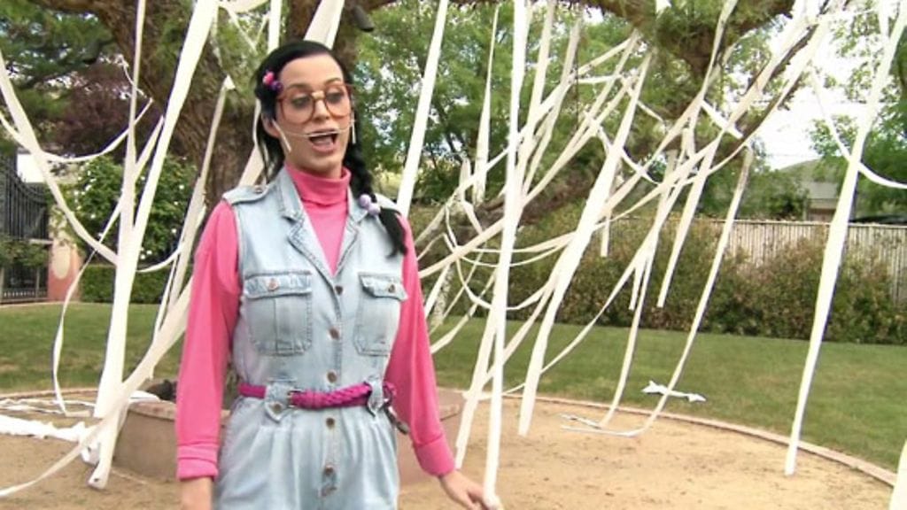 Katy Perryn nörtti-alter ego Kathy Beth Terry