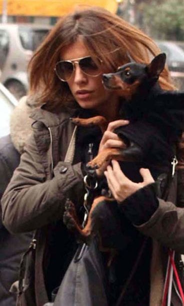 Koirat ovat Elisabettan vauvoja.