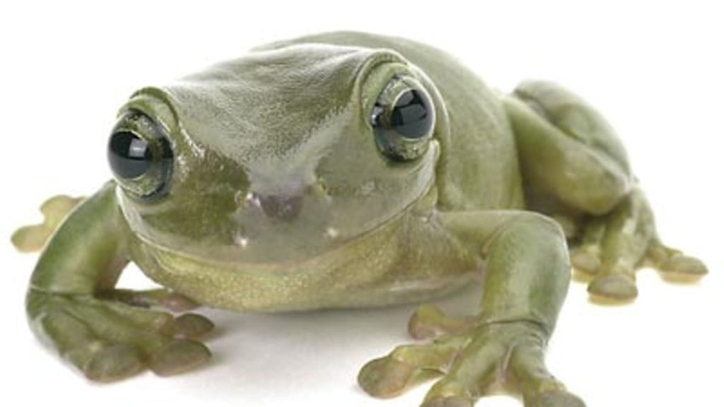 Kuva: futureimagebank.com