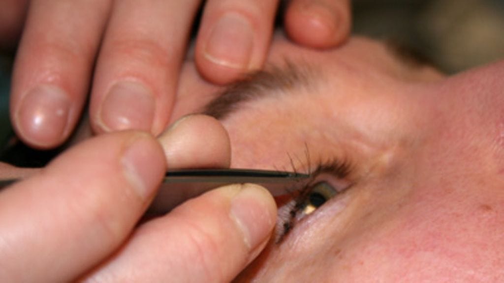 Kuva: Pirjo-Margit Lehtonen