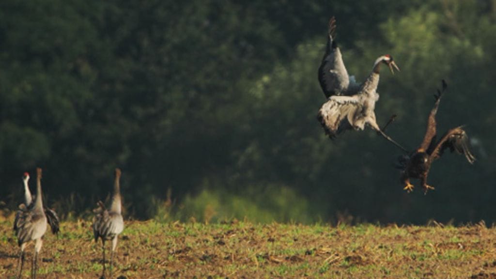 Kuva: Barcroft Media/MV Photos