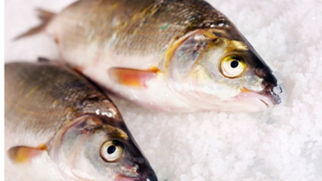 Kuva: Futureimagebank.com