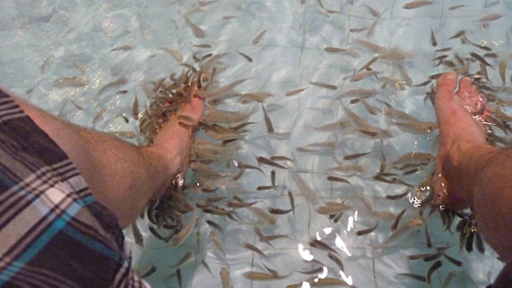 Kalahierontaa Siem Reapissa.