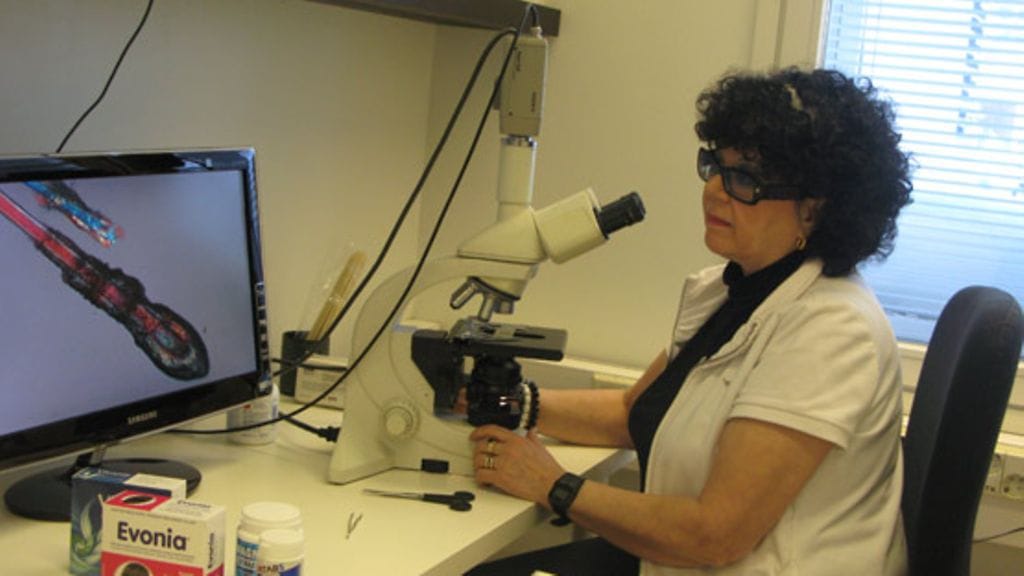 HiusAkatemian toiminnanjohtaja Annikki Hagros-Koski