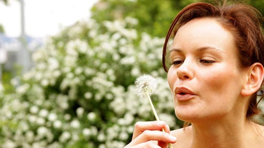 Allergia. Kuva: Shutterstock