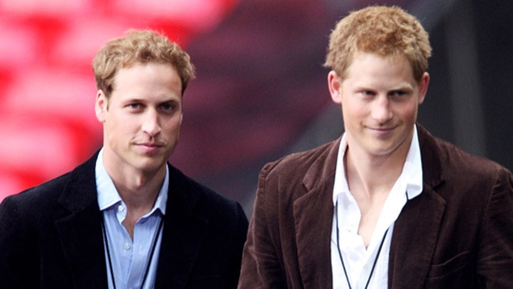 Prinssit William ja Harry