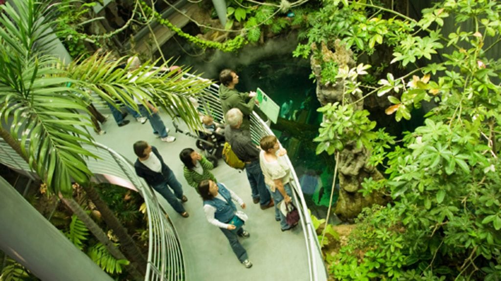 Planeettamme puolesta.