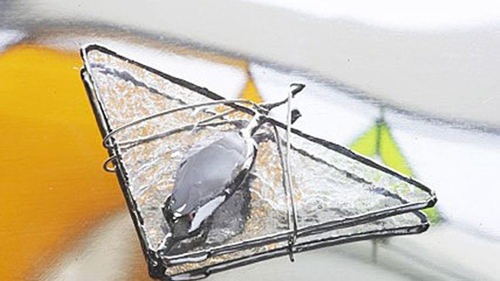 Kuva: Antti Lukkonen