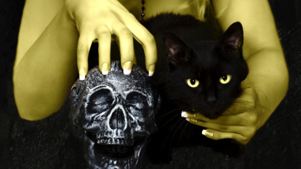 Musta kissa voi tuoda rahaonnea.