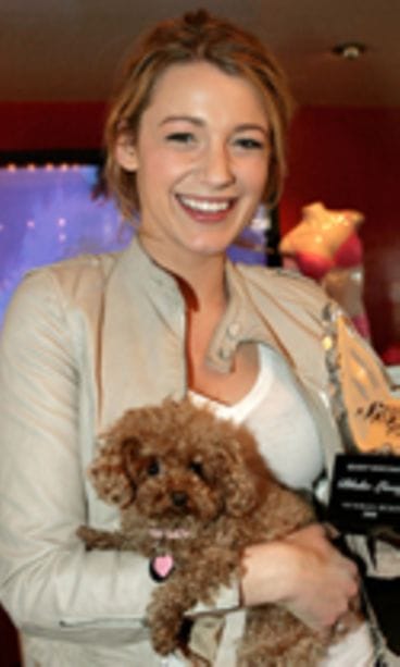 Photo by Charley Gallay/Getty Images