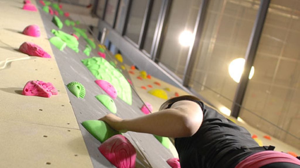 Peter Hammer opastaa, miten varmennetaan.