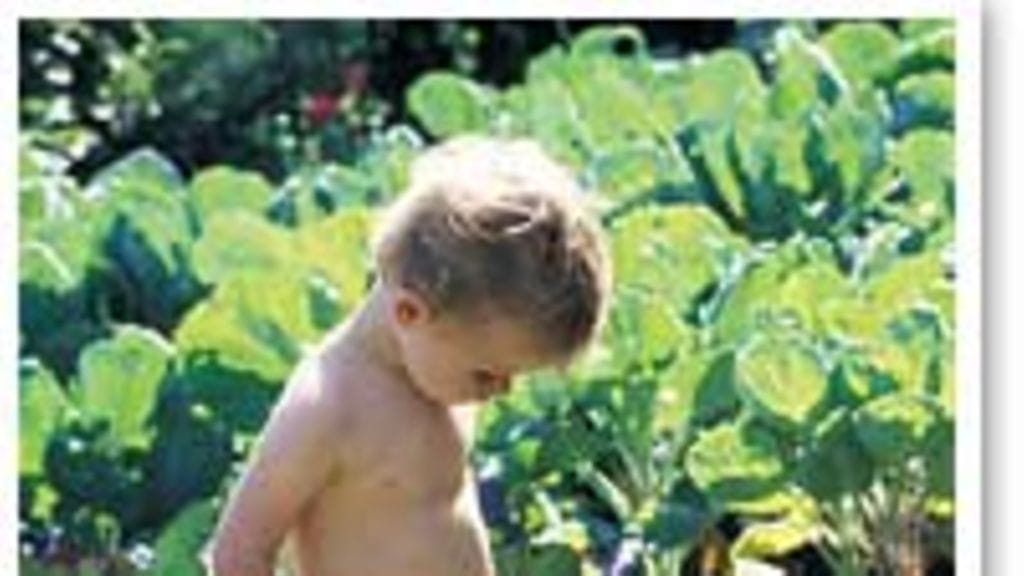 Lannoitus on puutarhassa tärkeää. Kuva: futureimagebank.com