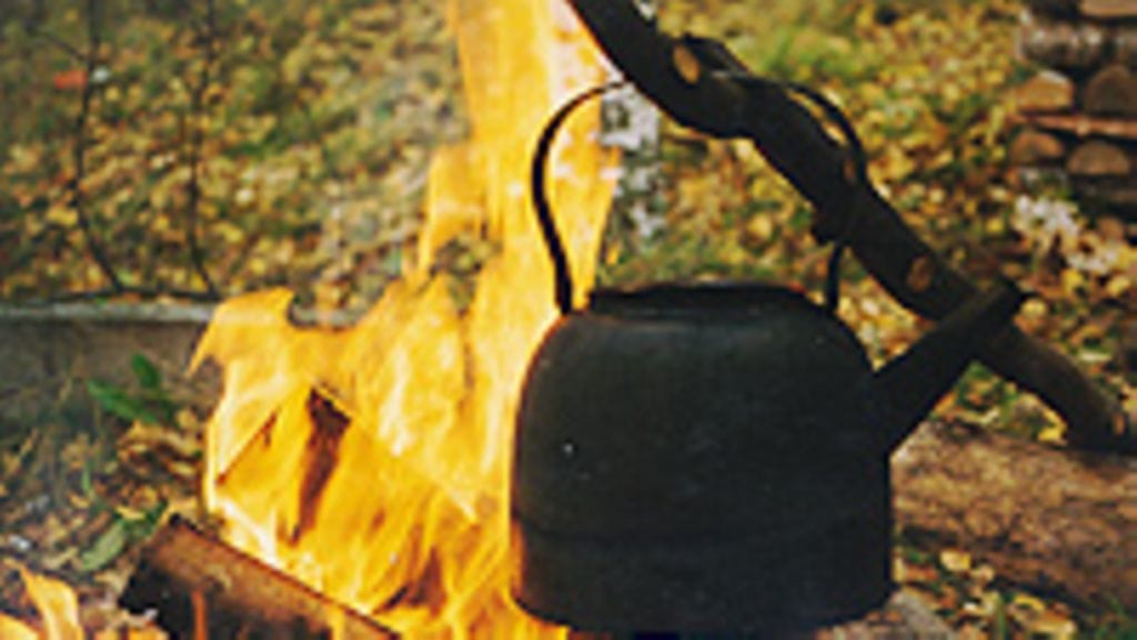 Kahvipannu, Kuva: Suvi Ruotsi