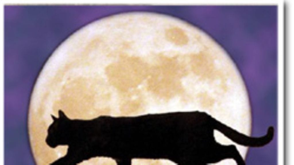 Musta kissa tuo huonoa onnea.