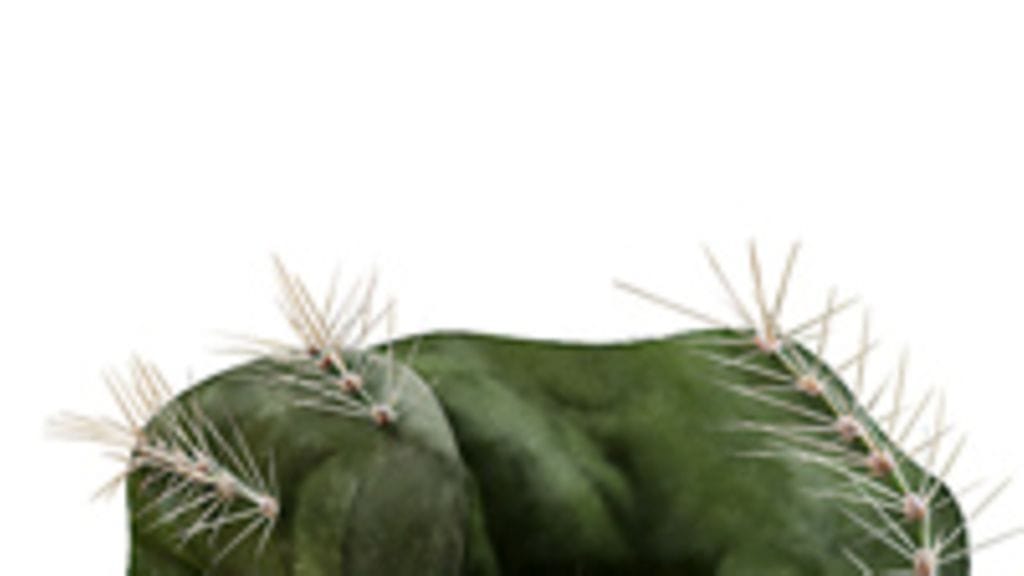 Kuva: Futureimagebank