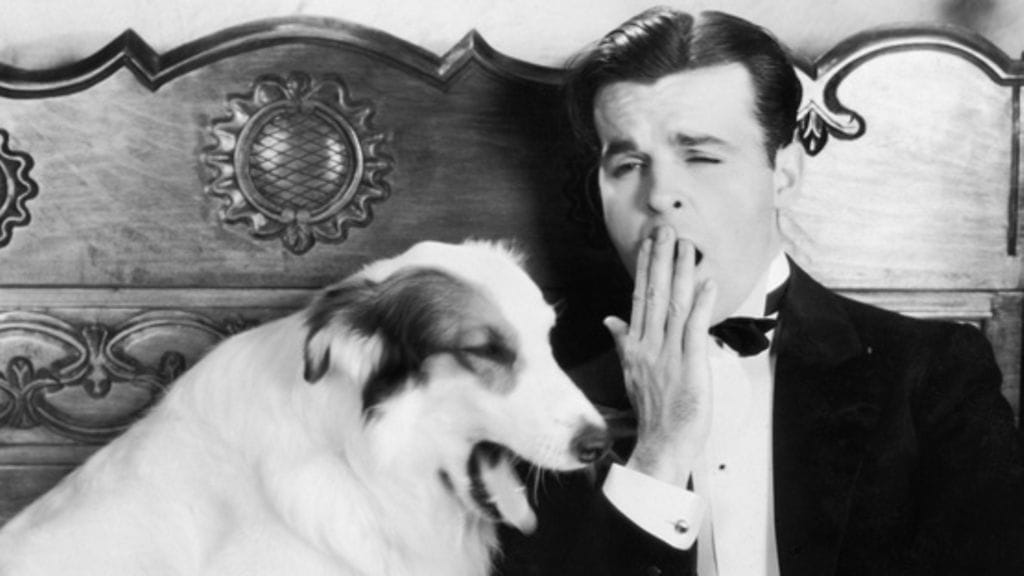 Selvityksen mukaan koira haukottelee samalla kuin omistajansa.