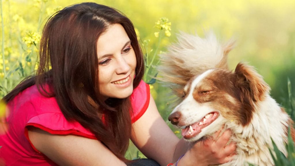 Karkulaiset.fi auttaa muun muassa karanneiden hevosten kanssa.