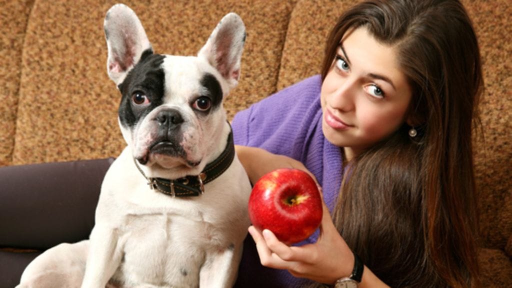 Hmm, mitkäs näistä olikaan myrkyllisiä..?