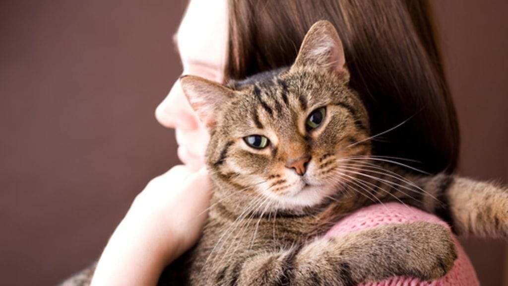 "Minusta pidetään huolta – näkeehän sen naamastakin!"