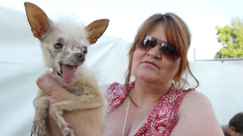 Tässä koirassa oli voittaja-ainesta!