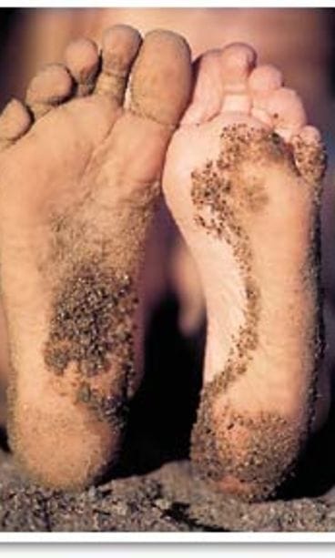 Kuva: futureimagebank.com/Hannu Ala-Hakkola